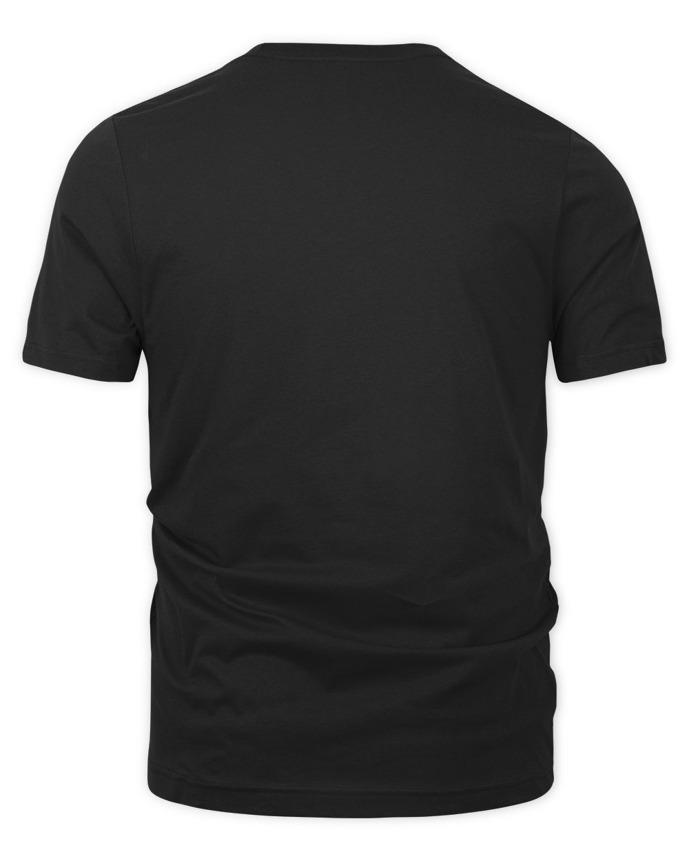 Trick Or Teach Funny Teacher Halloween Costume 2023 Gifts Shirt Unisex Premium T-Shirt black s